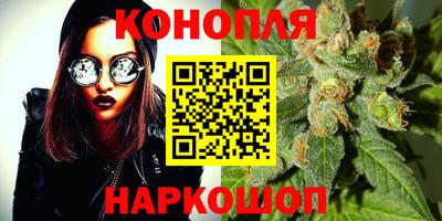 стаф Бугуруслан