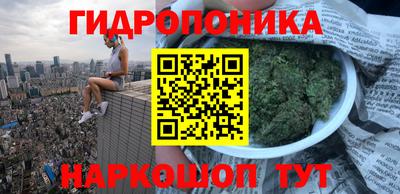 стаф Бугуруслан