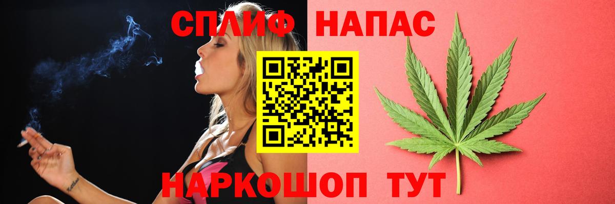 Бошки марихуана семена  Вход с VPN  Конопля AK-47  Конопля AK-47  Сальск 